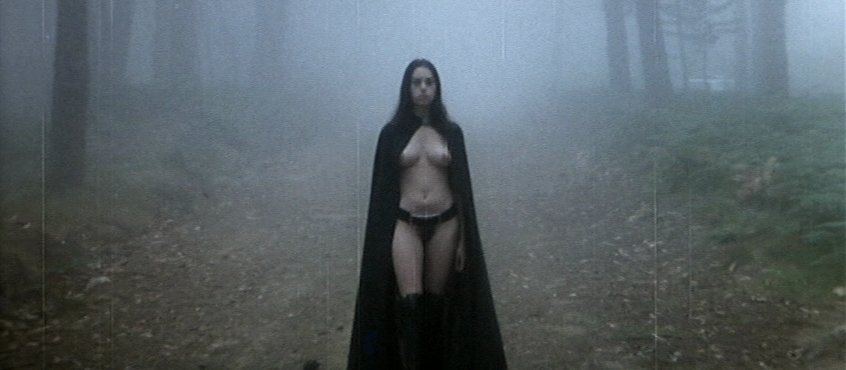 Image for The Female Vampire. 