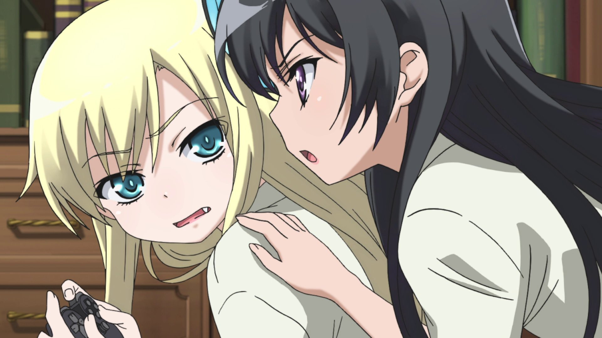 myReviewer.com - JPEG - Image for Haganai: I Don't Have Many