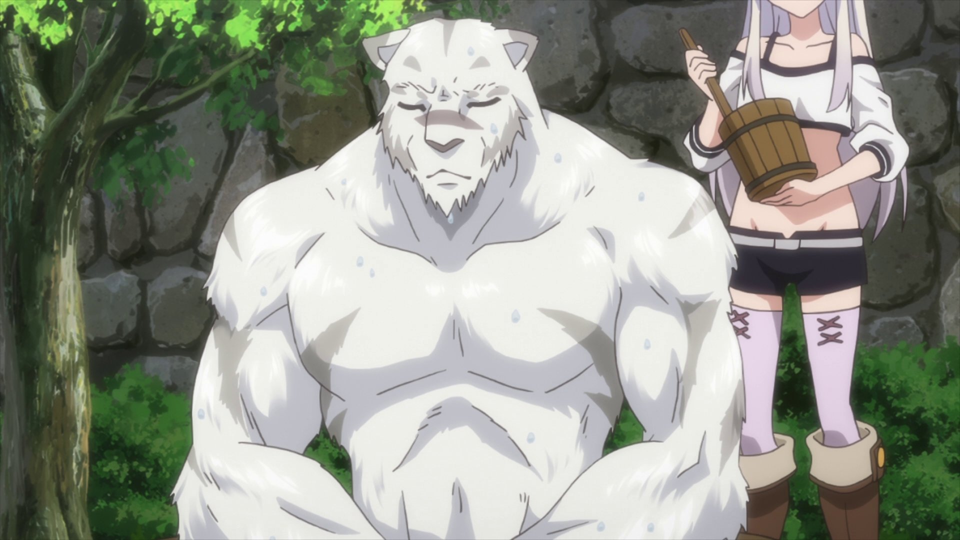 JPEG - Image for Grimoire Of Zero Collector's Edition.